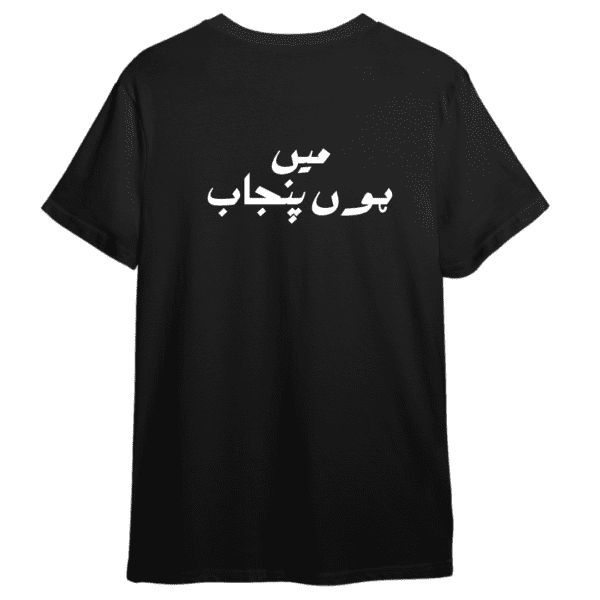 Diljit Concert Vibes Tee